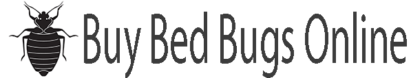 Buy Bed Bugs Online